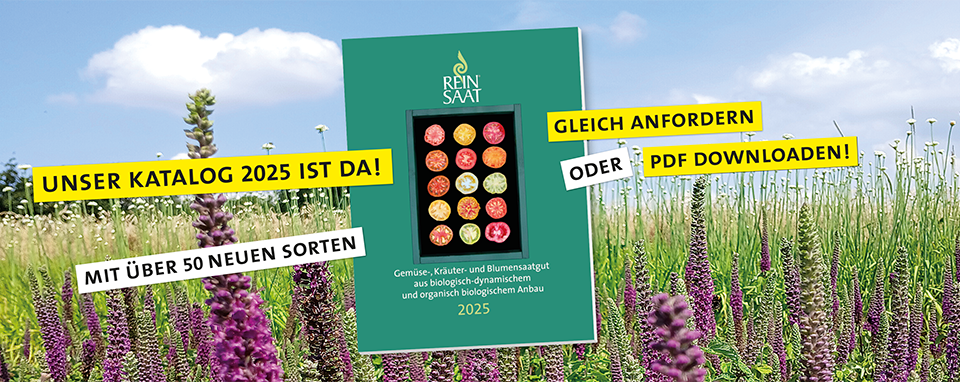 ReinSaat Katalog 2025 Titelseite vor Blumenwiese und Werbetext